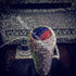 BMW M5 Custom Swarovski Gear Shift
